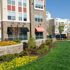 Commercial Landscaping St Louis