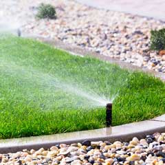 Lawn Irrigation