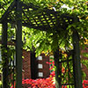 St Louis Pergola Installation