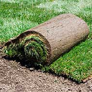 St Louis Sod Installation Services